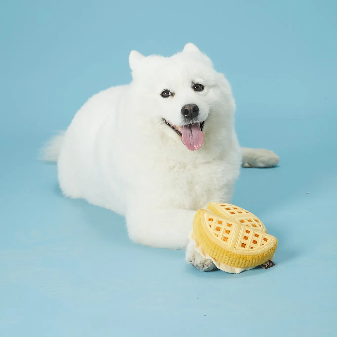 Waffle | Sniffing Toy