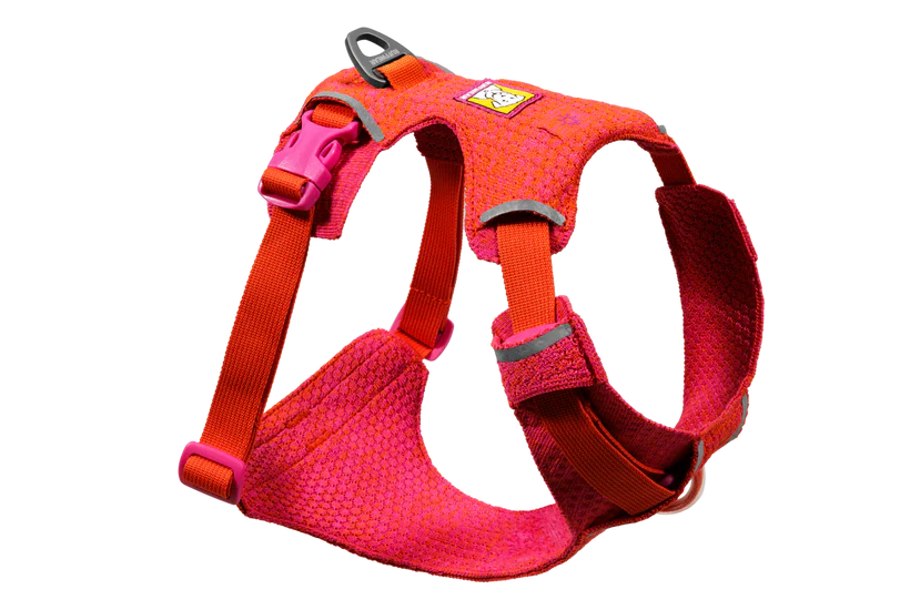 Postroj Front Range® Flex Harness