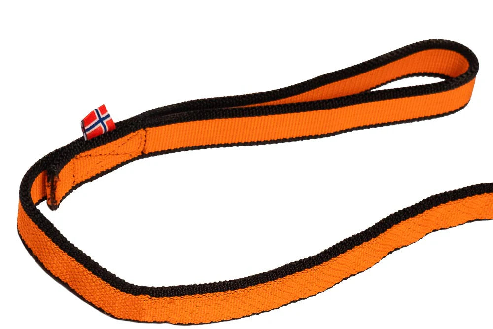 #barva_Oranžová